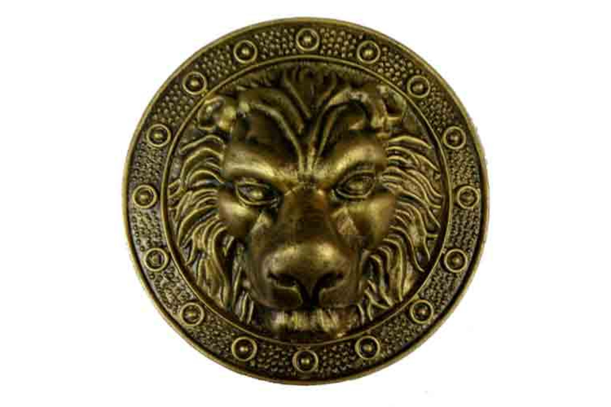 Монета голова льва. Голова Льва. Голова Льва для литья. Накладка голова Льва. Голова Льва на ворота.
